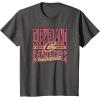 NBA Cleveland Cavaliers Nonstop Action T-Shirt(Asphalt Grey)