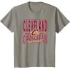NBA Cleveland Cavaliers Nonstop Action T-Shirt(Slate Grey)
