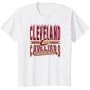 NBA Cleveland Cavaliers Nonstop Action T-Shirt(White)