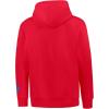 Ultra Game Adults NBA Official Classic Embroidered Hoodie Sweatshirt(Team Color)