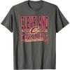 NBA Cleveland Cavaliers Nonstop Action T-Shirt(Asphalt Grey)