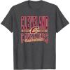 NBA Cleveland Cavaliers Nonstop Action T-Shirt(Dark Heather Grey)