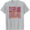 NBA Cleveland Cavaliers Nonstop Action T-Shirt(Heather Grey)