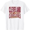 NBA Cleveland Cavaliers Nonstop Action T-Shirt(White)