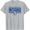NBA Indiana Pacers City Pride T-Shirt(Heather Grey)