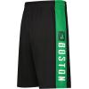 Ultra Game Men’s NBA Official Mesh Basketball Shorts(Boston Celtics)