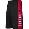 Ultra Game Men’s NBA Official Mesh Basketball Shorts(Toronto Raptors)