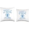 WNBA Property Of Chicago Sky Licensed Throw Pillow