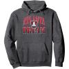 WNBA Atlanta Dream Pullover Hoodie(Dark Heather Grey)