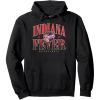 WNBA Indiana Fever Courtside Pullover Hoodie(Black)