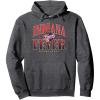 WNBA Indiana Fever Courtside Pullover Hoodie(Dark Heather Grey)