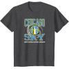 WNBA Chicago Sky Home Court Midtown T-Shirt(Dark Heather Grey)