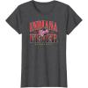 WNBA Indiana Fever Courtside T-Shirt(Dark Heather Grey)