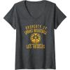 Womens WNBA Property Of Los Angeles Sparks Licensed V-Neck T-Shirt(Dark Heather Grey)