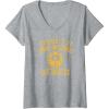 Womens WNBA Property Of Los Angeles Sparks Licensed V-Neck T-Shirt(Heather Grey)