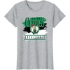 NBA Official Boston Celtics Spilled Paint T-Shirt(Heather Grey)